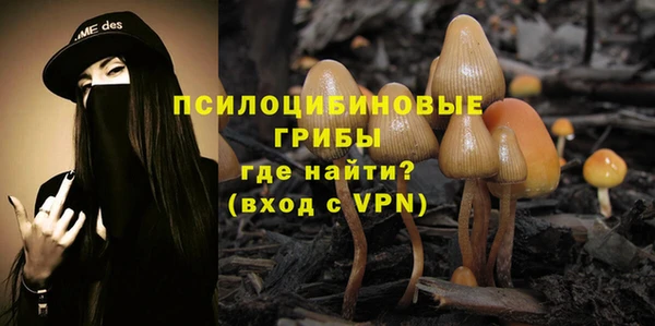 эйфоретик Липки