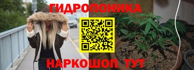 спиды Берёзовский