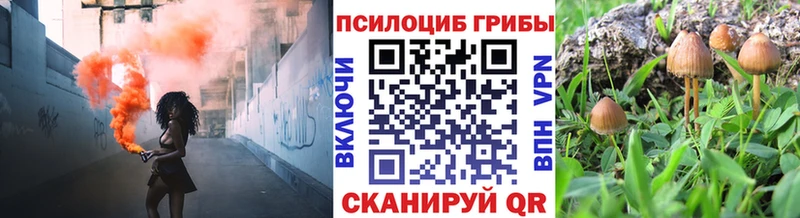 Галлюциногенные грибы MAGIC MUSHROOMS  Ивантеевка 